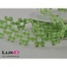 Flower check 23 groen 25mm x 10m