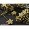 X-Mass star wired 19 goud 27mm x 9cm (72pcs)