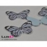 Scarlet 31 blue 7cm (18pc)