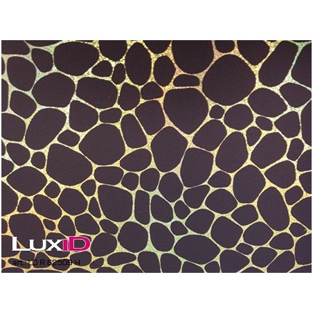 Inpakpapier modern 50cm x 100m