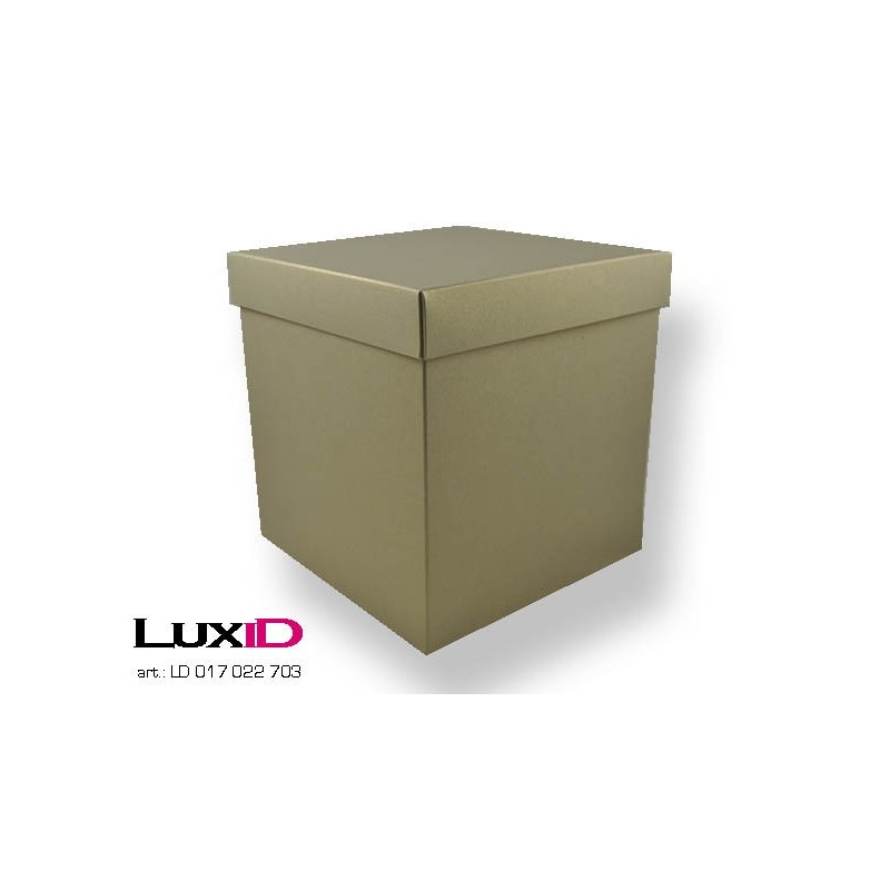 Kubus 703 goud 170mm